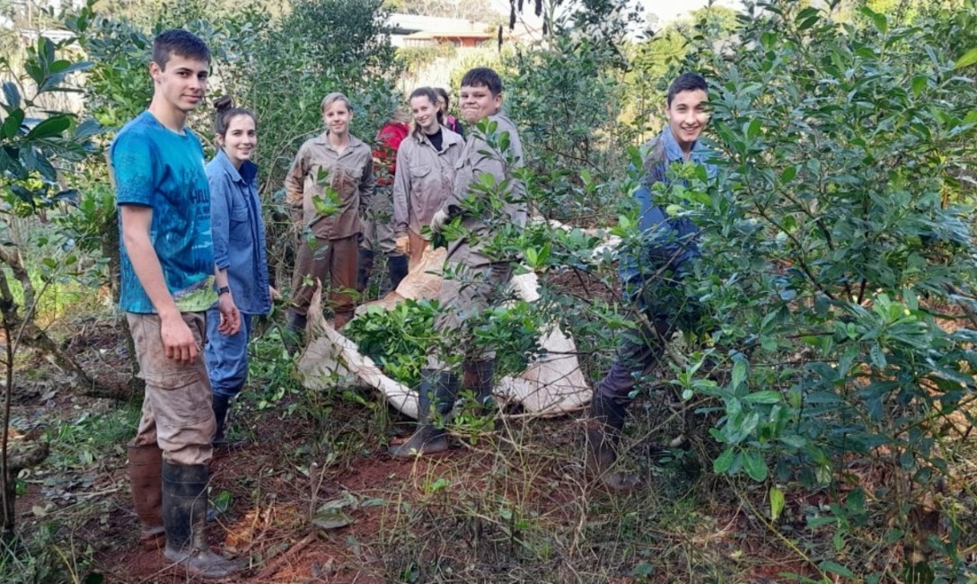 Imagen de T&eacute;cnicas de poda y cuidado de planta y suelos en Capiov&iacute;, Ruiz de Montoya y Azara