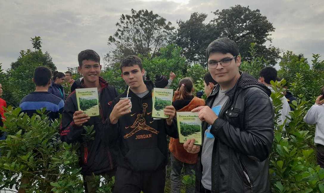 Imagen de T&eacute;cnicas de poda y cuidado de planta y suelos en Capiov&iacute;, Ruiz de Montoya y Azara