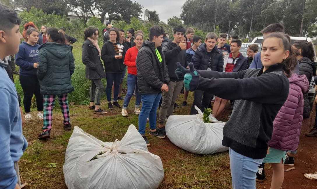 Imagen de T&eacute;cnicas de poda y cuidado de planta y suelos en Capiov&iacute;, Ruiz de Montoya y Azara