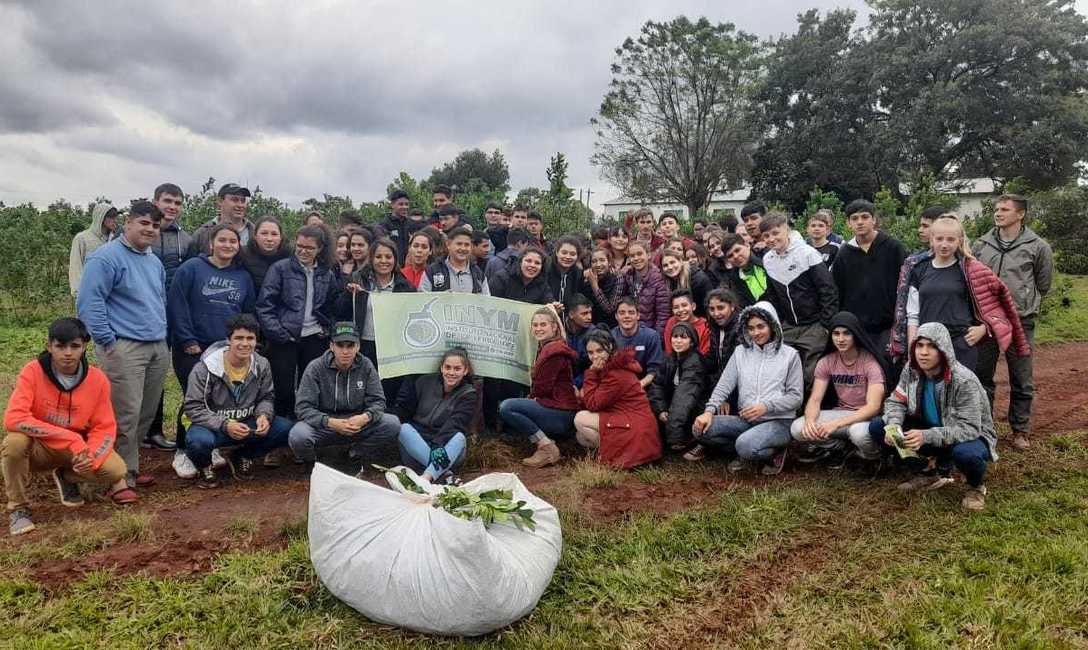 Imagen de T&eacute;cnicas de poda y cuidado de planta y suelos en Capiov&iacute;, Ruiz de Montoya y Azara