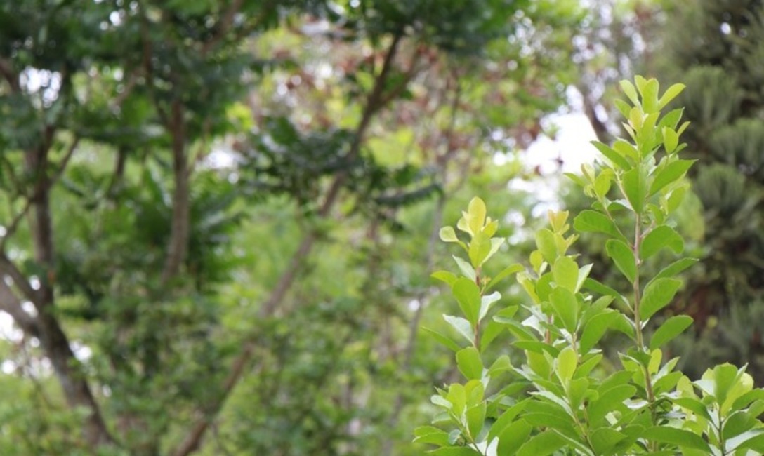 Imagen de El suelo cubierto y sistematizado es central para producir en tiempos de cambio clim&aacute;tico