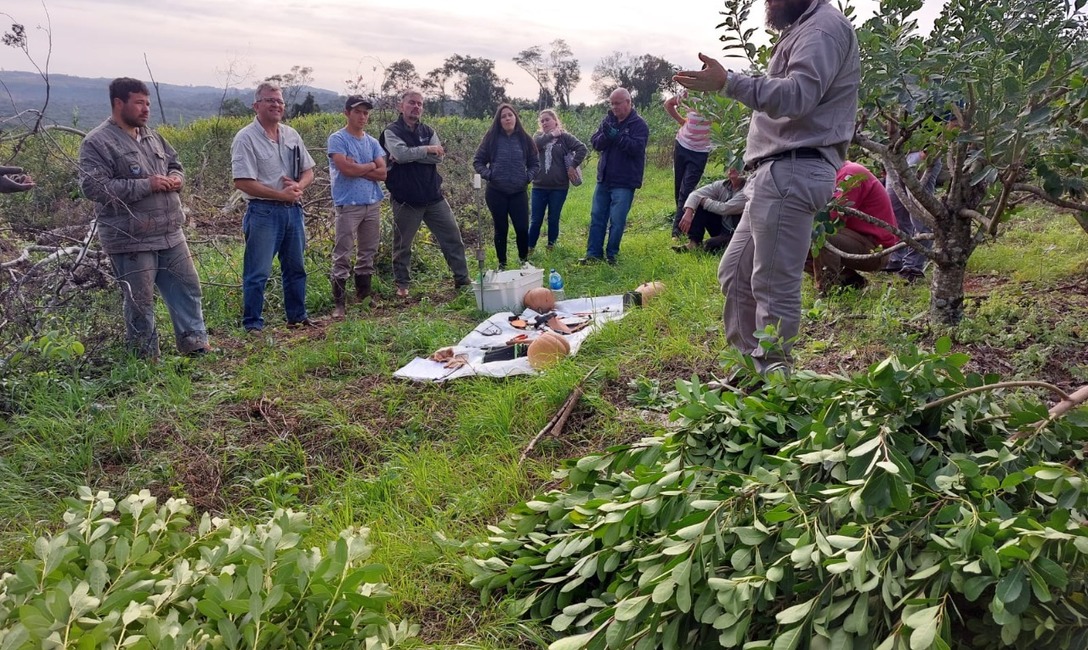 Imagen de Capacitaci&oacute;n en manejo de planta de yerba mate en Polvor&iacute;n
