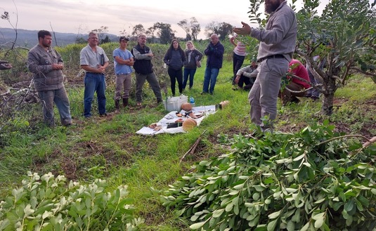 Imagen de Capacitaci&oacute;n en manejo de planta de yerba mate en Polvor&iacute;n