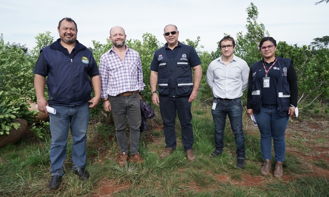 Imagen de El INYM en Jornadas sobre Técnicas de Registración e Inspecciones del Mercosur Imagen de El INYM en Jornadas sobre Técnicas de Registración e Inspecciones del Mercosur