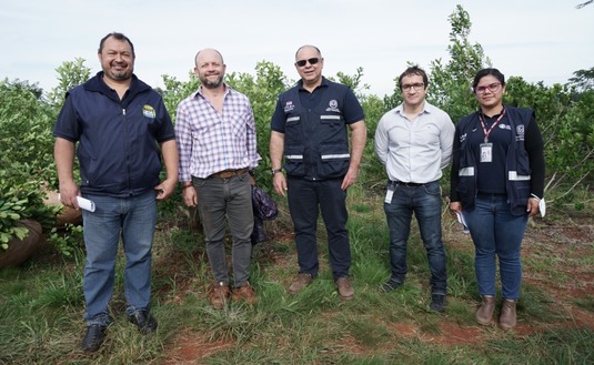 Imagen de El INYM en Jornadas sobre Técnicas de Registración e Inspecciones del Mercosur