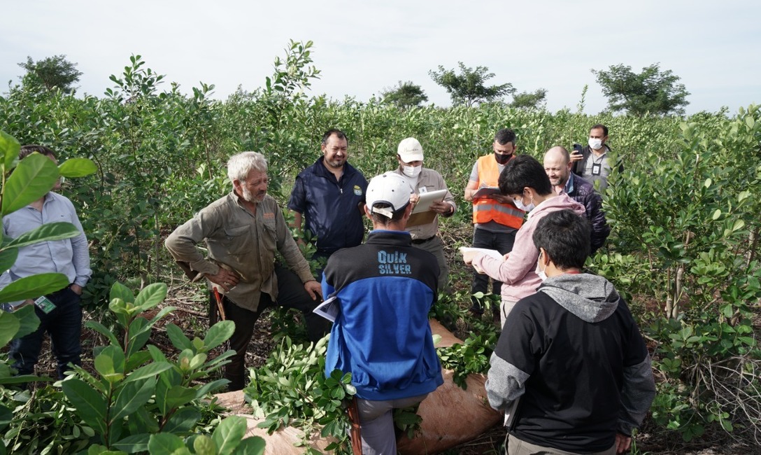 Imagen de El INYM en Jornadas sobre Técnicas de Registración e Inspecciones del Mercosur Imagen de El INYM en Jornadas sobre Técnicas de Registración e Inspecciones del Mercosur