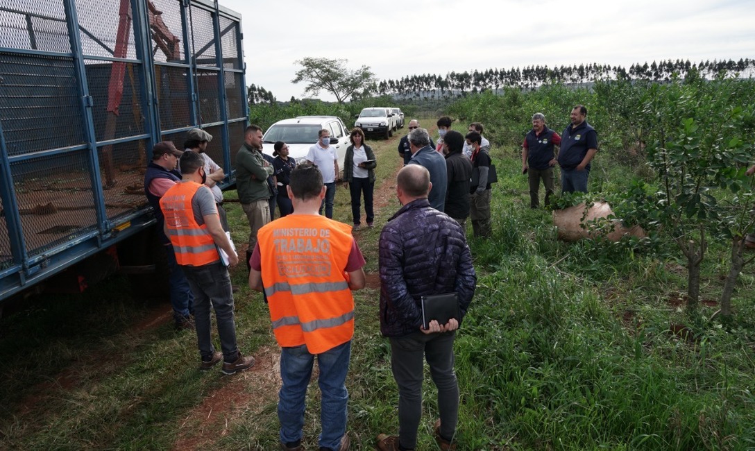 Imagen de El INYM en Jornadas sobre Técnicas de Registración e Inspecciones del Mercosur Imagen de El INYM en Jornadas sobre Técnicas de Registración e Inspecciones del Mercosur