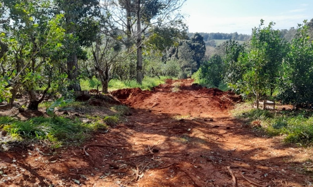 Imagen de En el D&iacute;a del Suelo, jornada con j&oacute;venes en la chacra de Babetske