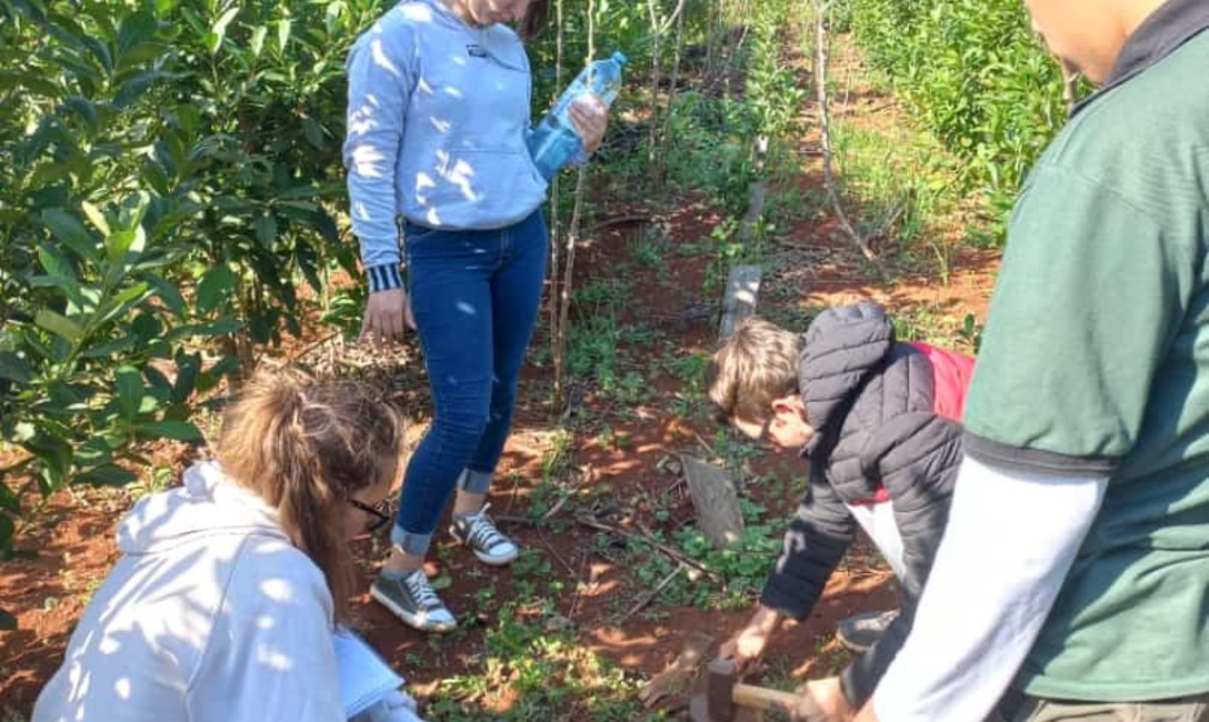 Imagen de En el D&iacute;a del Suelo, jornada con j&oacute;venes en la chacra de Babetske