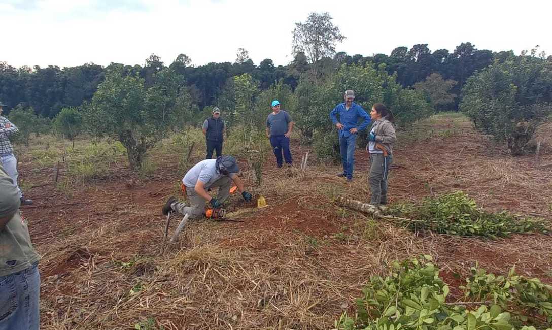 Imagen de Jornada sobre cosecha, rebaje y poda de formaci&oacute;n con productores de Montecarlo