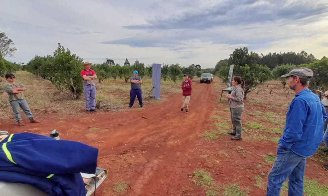 Imagen de Jornada sobre cosecha, rebaje y poda de formaci&oacute;n con productores de Montecarlo