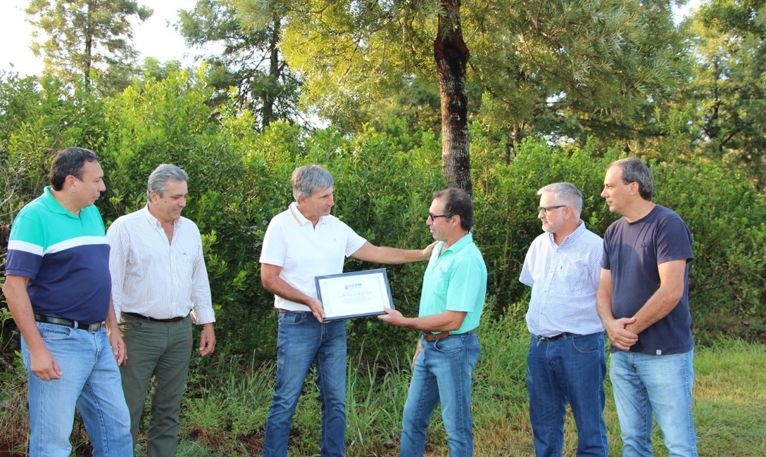 El presidente Juan José Szychowski, junto a Directores del INYM, otorgan el reconocimiento de “Buen Productor Yerbatero 2021” a Walter Wurfel, en El Chatón, Leandro N Alem. “Gracias por lo que nos enseña a nosotros”, dijo el Presidente al productor. El presidente Juan José Szychowski, junto a Directores del INYM, otorgan el reconocimiento de “Buen Productor Yerbatero 2021” a Walter Wurfel, en El Chatón, Leandro N Alem. “Gracias por lo que nos enseña a nosotros”, dijo el Presidente al productor.