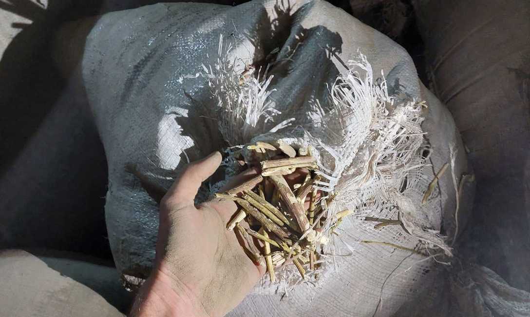 Imagen de Fue clausurado un molino de yerba mate donde se detectaron graves irregularidades