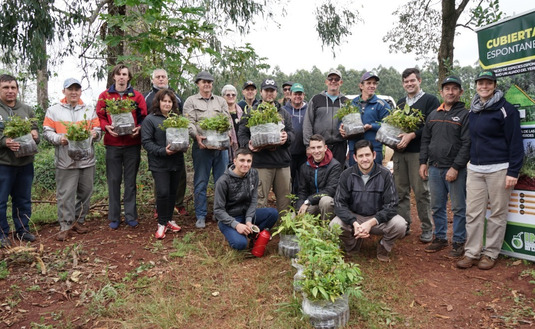 Imagen de Cubiertas verdes y &aacute;rboles nativos, para recuperar productividad en un suelo con 60 a&ntilde;os de uso