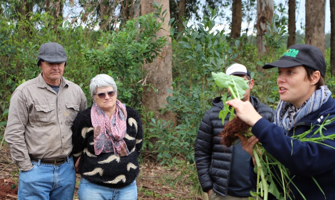 Mara Schedler, integrante del Servicio de Extensión Yerbatero del INYM. Mara Schedler, integrante del Servicio de Extensión Yerbatero del INYM.