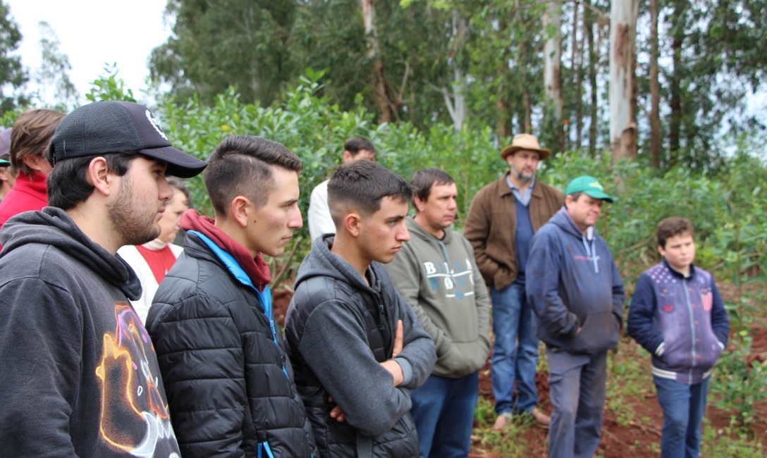Imagen de Cubiertas verdes y árboles nativos, para recuperar productividad en un suelo con 60 años de uso Imagen de Cubiertas verdes y árboles nativos, para recuperar productividad en un suelo con 60 años de uso