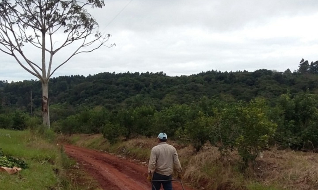 Imagen de M&aacute;s de 3 mil herramientas a productores y secaderos para mejorar la productividad