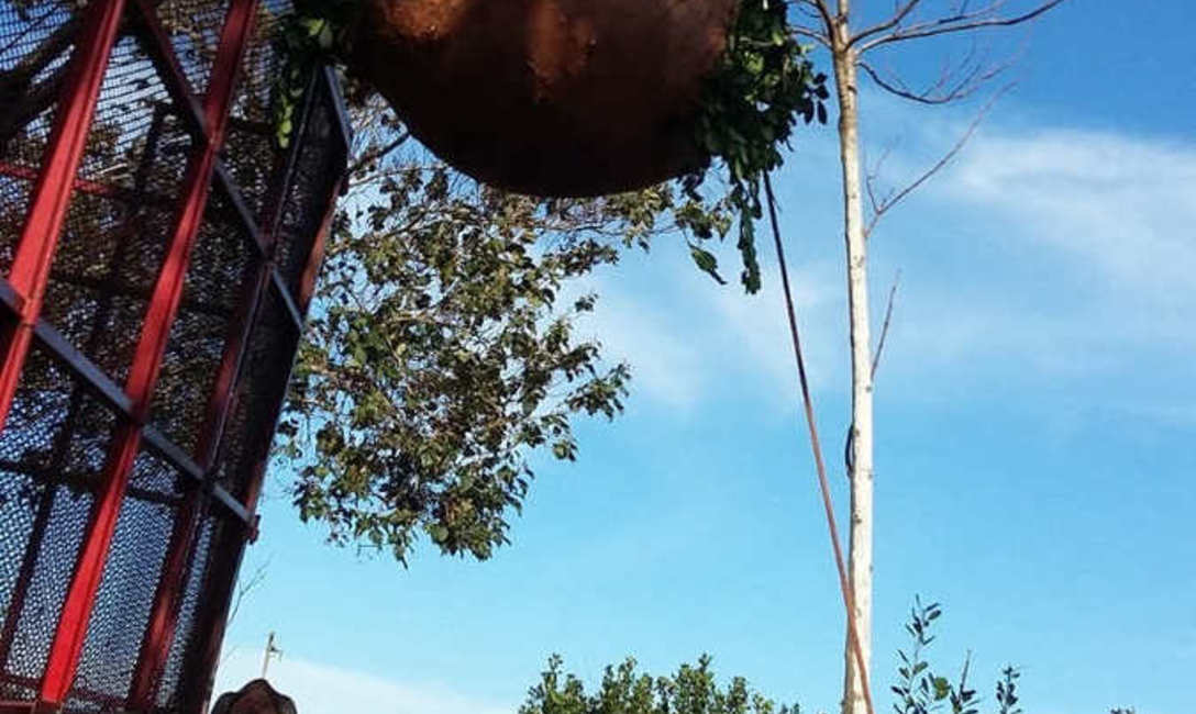 Imagen de M&aacute;s de 3 mil herramientas a productores y secaderos para mejorar la productividad