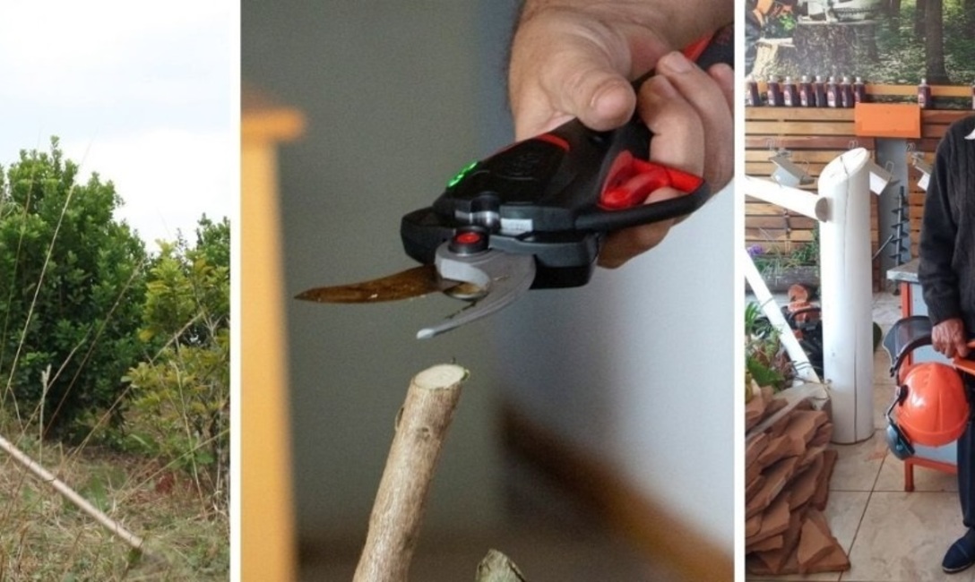 Imagen de M&aacute;s de 3 mil herramientas a productores y secaderos para mejorar la productividad