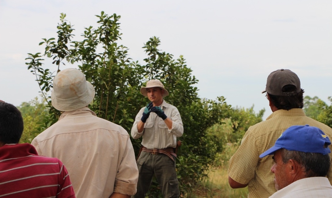 Imagen de Jornadas de capacitaciones para tareferos