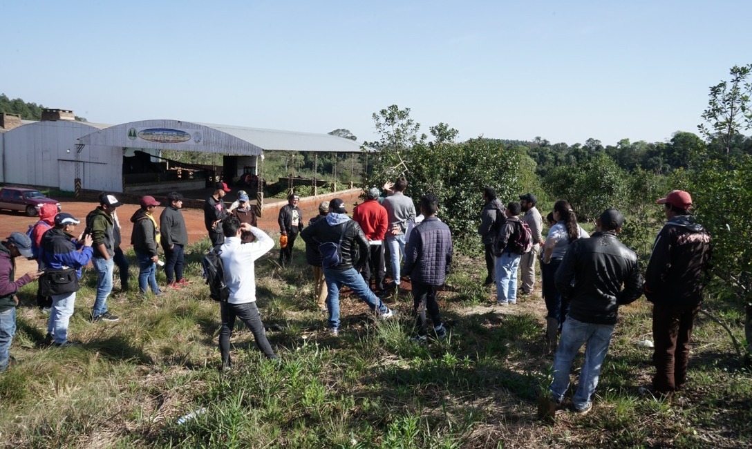 Imagen de M&aacute;s de 30 tareferos se capacitaron en t&eacute;cnicas de cosecha y recibieron herramientas e indumentaria
