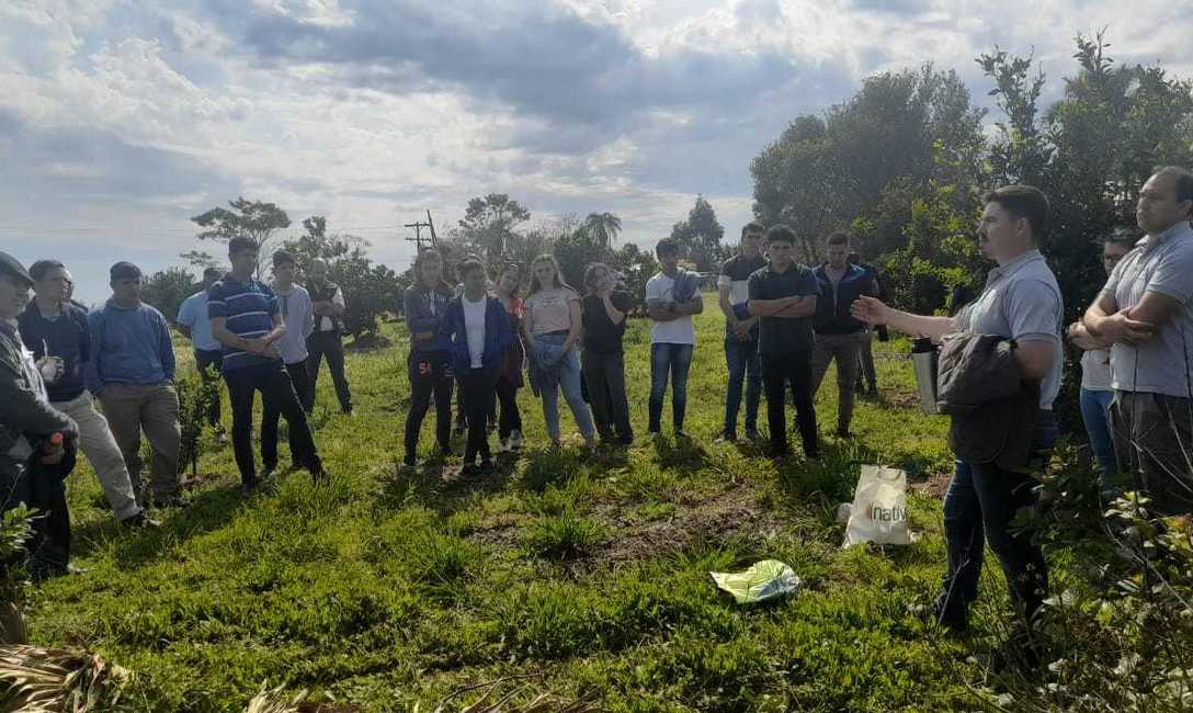 Imagen de C&oacute;mo fertilizar el yerbal y mitigar efectos del clima, en la jornada t&eacute;cnica en Azara