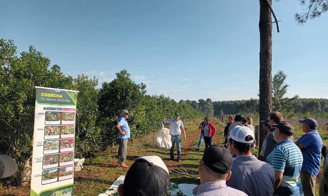 Imagen de Capacitaci&oacute;n para optimizar las cosechas