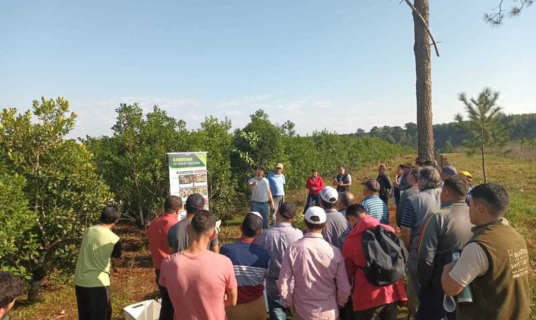 Imagen de Capacitaci&oacute;n para optimizar las cosechas