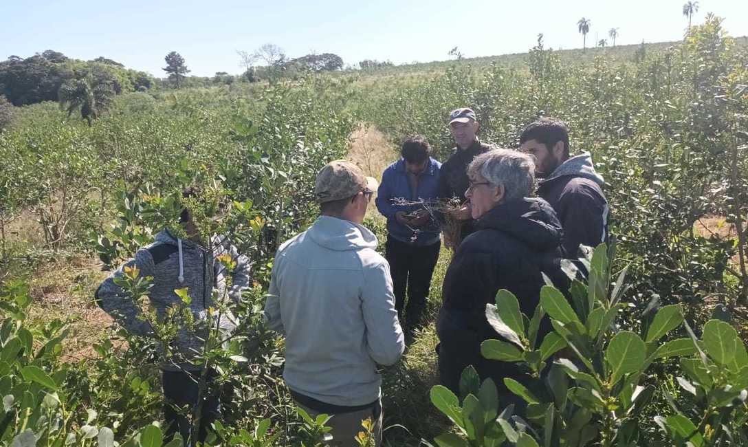 Imagen de Capacitaci&oacute;n a tareferos en Alem