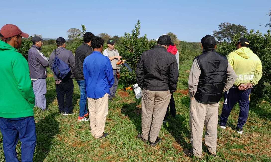 Imagen de Jornada de capacitaci&oacute;n con tareferos de San Carlos