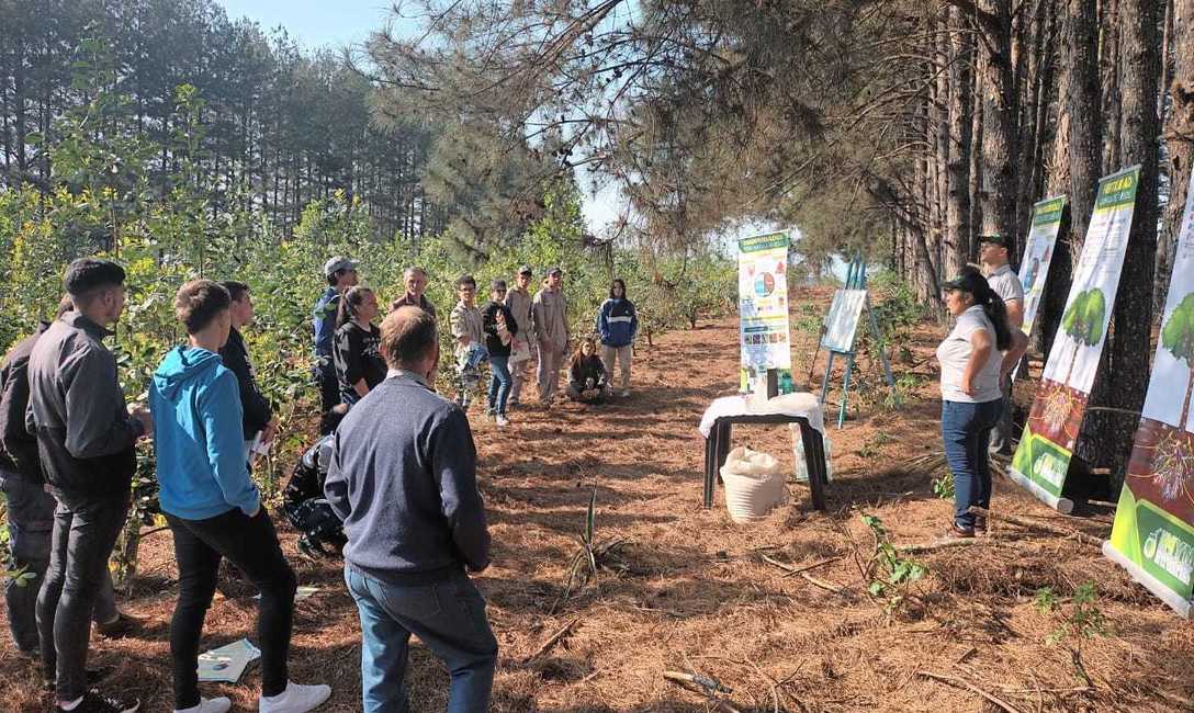 Imagen de C&oacute;mo mejorar la productividad, tema en la Fiesta de la Yerba Mate en Alicia