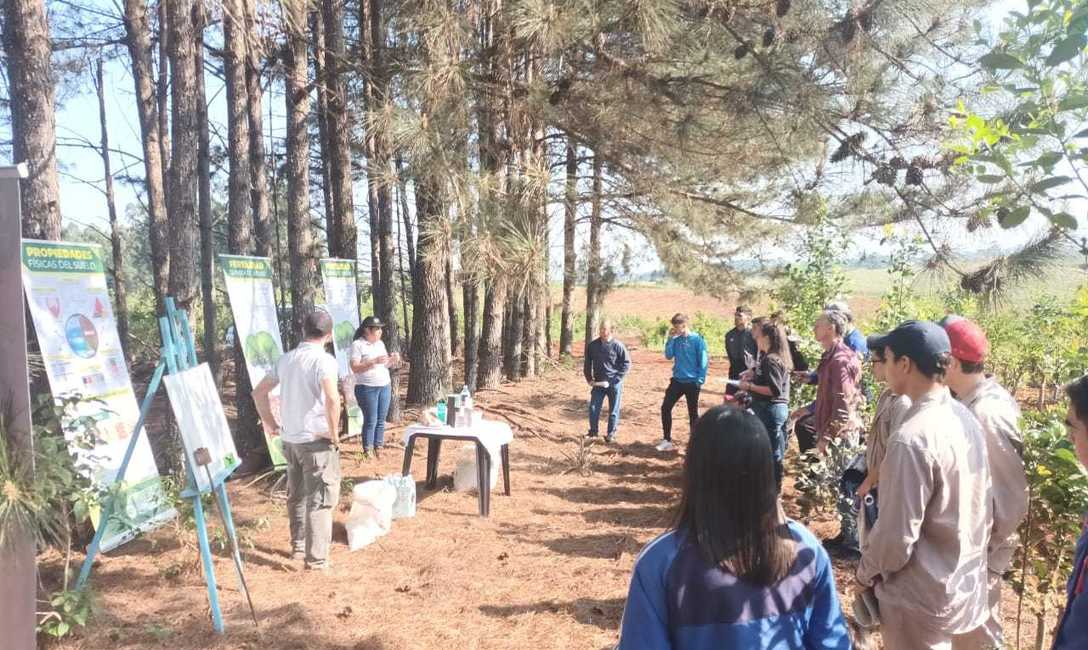 Imagen de C&oacute;mo mejorar la productividad, tema en la Fiesta de la Yerba Mate en Alicia