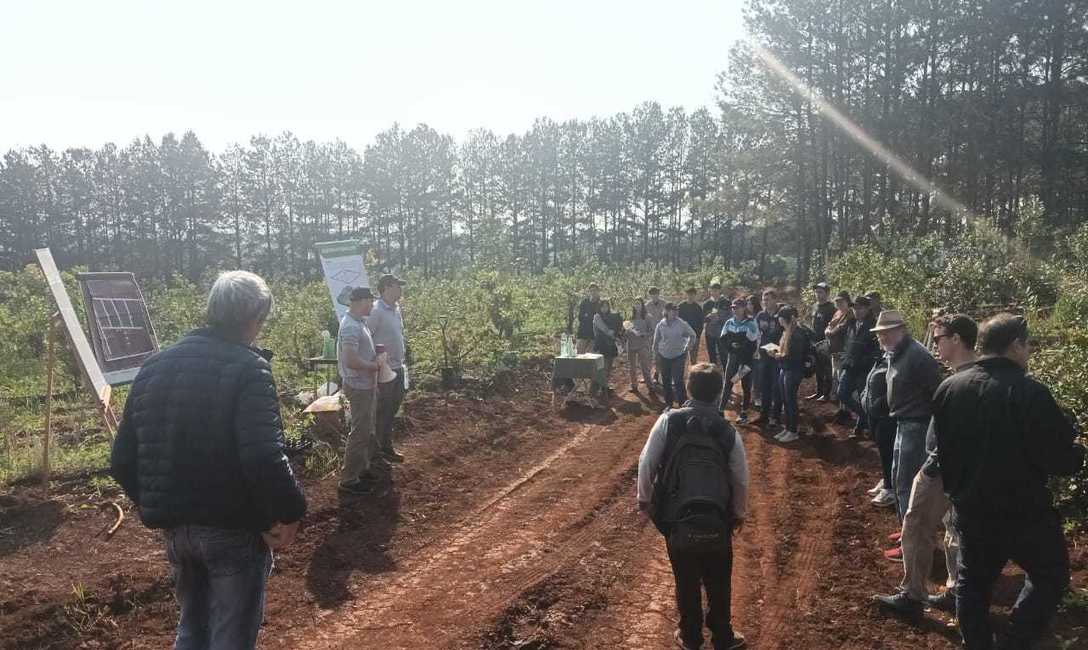 Imagen de C&oacute;mo mejorar la productividad, tema en la Fiesta de la Yerba Mate en Alicia