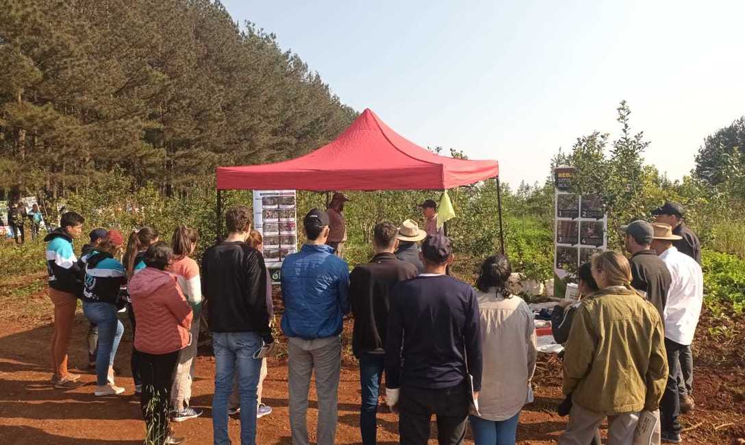 Imagen de C&oacute;mo mejorar la productividad, tema en la Fiesta de la Yerba Mate en Alicia