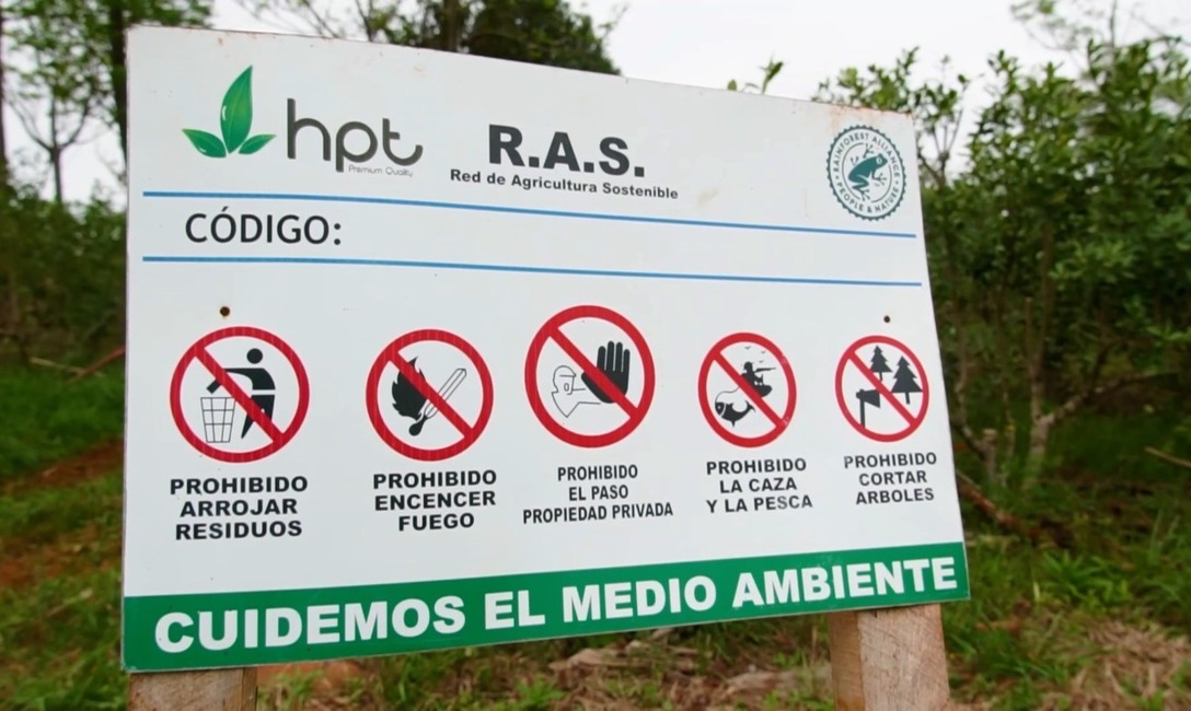 Imagen de Herramientas y manejo adecuado, el combo ideal para lograr un buen yerbal