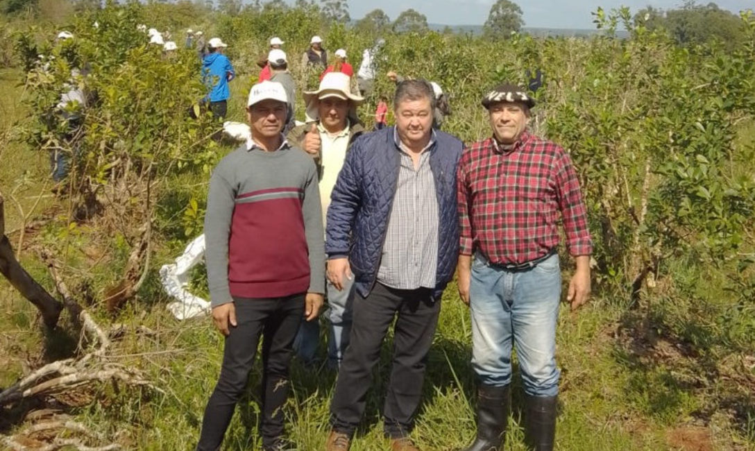 Imagen de Capacitaci&oacute;n y entrega de herramientas a tareferos en Colonia Uni&oacute;n