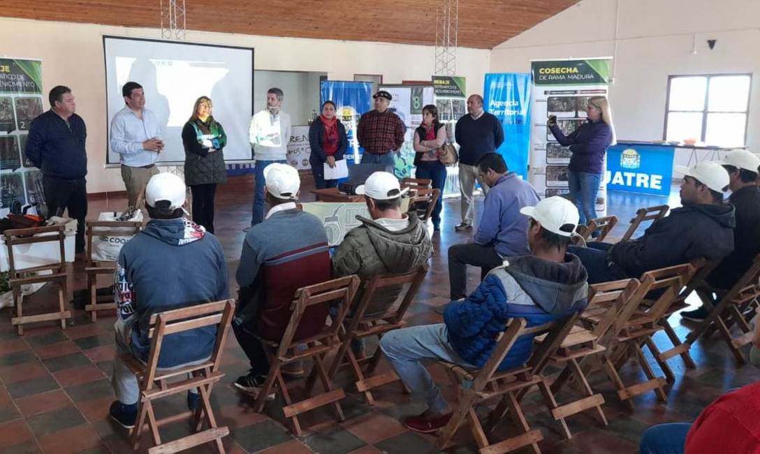 Imagen de Capacitaci&oacute;n y entrega de herramientas a tareferos en Colonia Uni&oacute;n