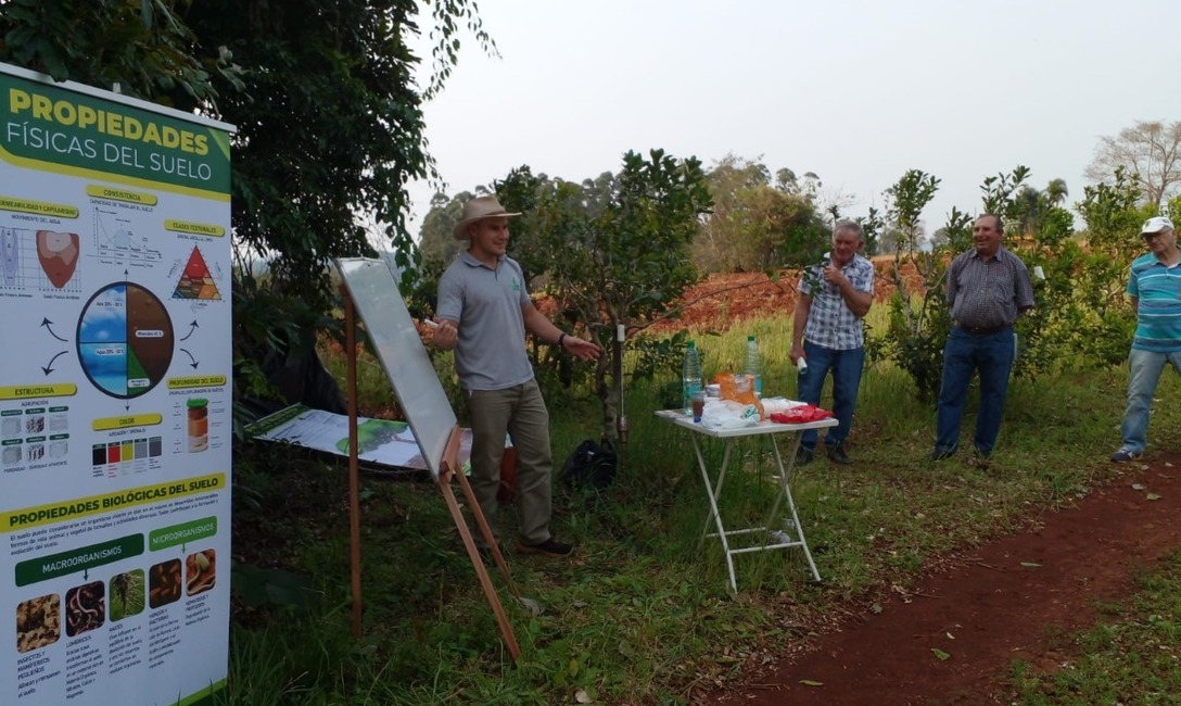 Imagen de Manejo ambiental en yerbales de 25 de Mayo Imagen de Manejo ambiental en yerbales de 25 de Mayo