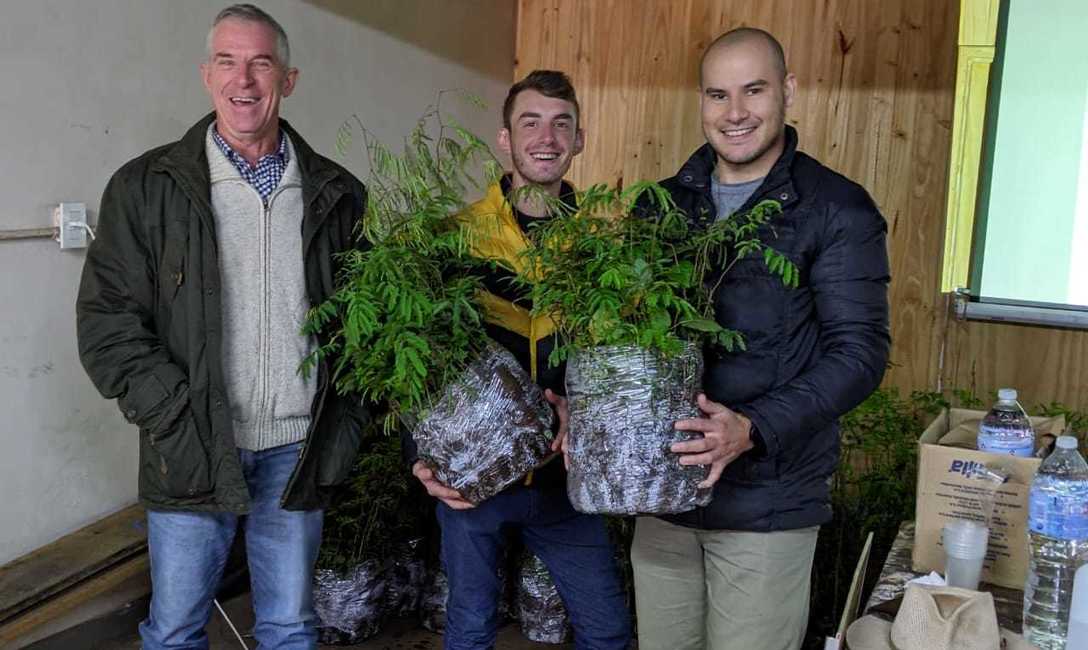 Imagen de Manejo ambiental en yerbales de 25 de Mayo Imagen de Manejo ambiental en yerbales de 25 de Mayo