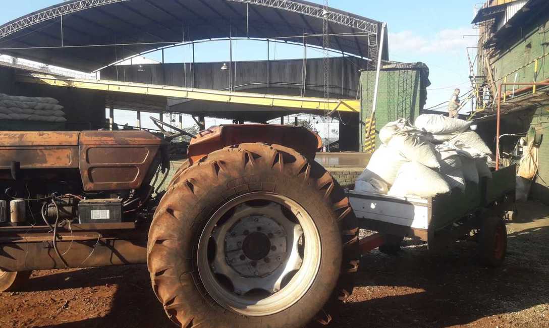 Imagen de El INYM intervino 4.000 kilos de palo molido en un secadero de Colonia Alberdi