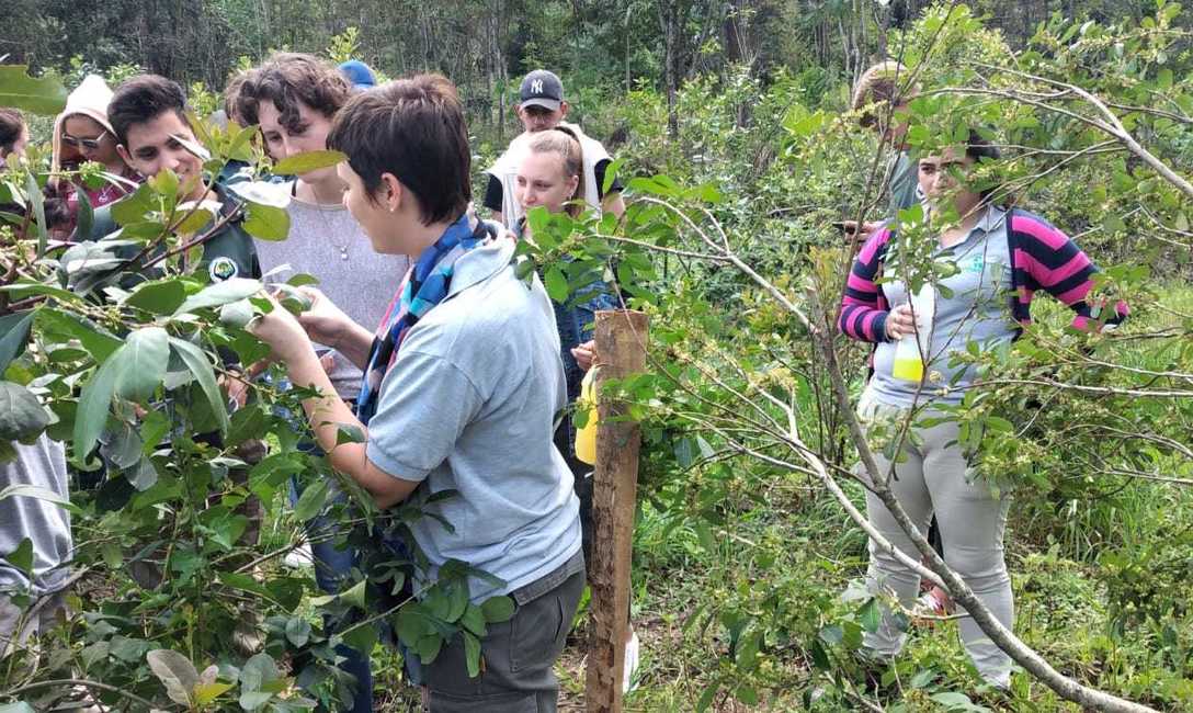 Imagen de Jornada yerbatera con  j&oacute;venes de la EFA Galilea