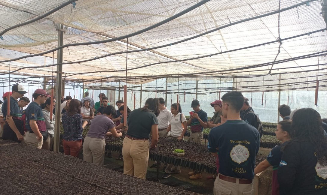 Imagen de La yerba, destino de viaje escolar Imagen de La yerba, destino de viaje escolar