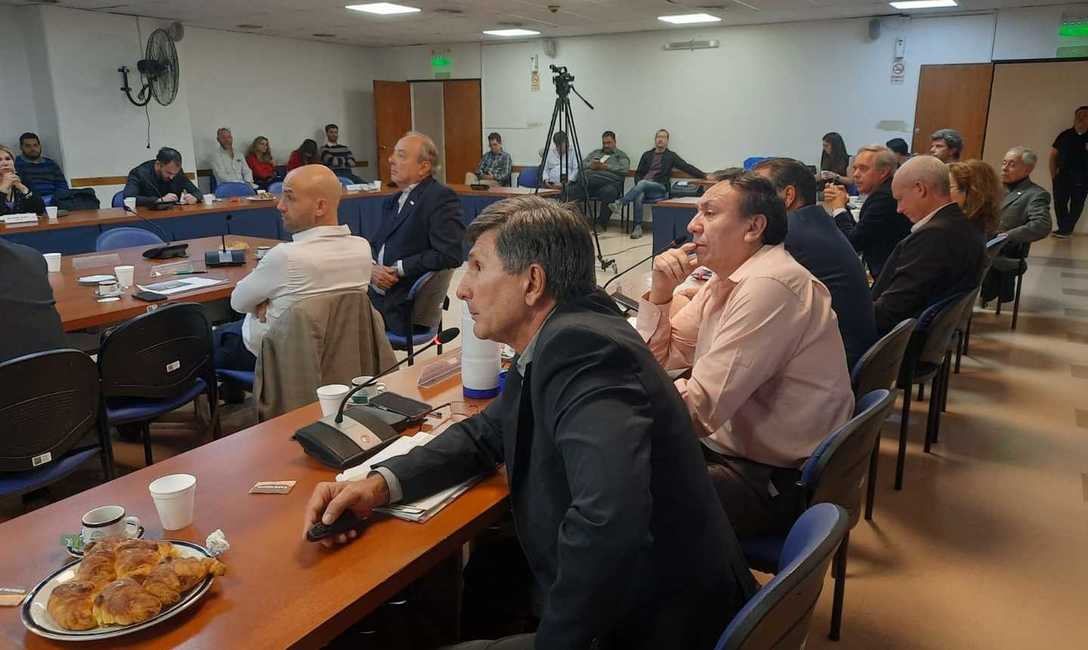 Imagen de El INYM brindó un detallado panorama del sector yerbatero en la Cámara de Diputados de la Nación Imagen de El INYM brindó un detallado panorama del sector yerbatero en la Cámara de Diputados de la Nación