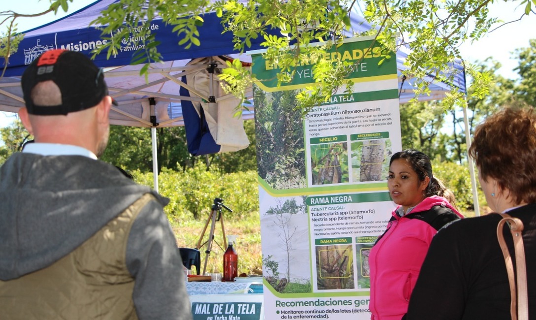Imagen de Temas ambientales y productivos en la Jornada T&eacute;cnica de la Fiesta de la Yerba Mate