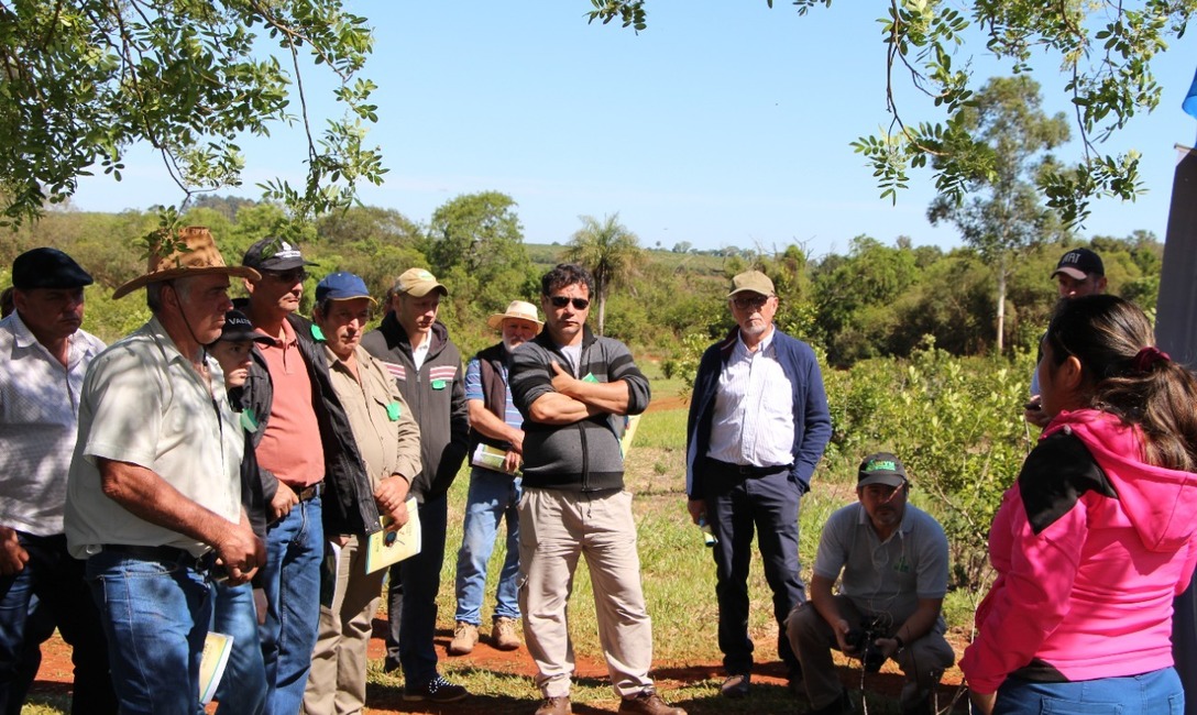 Imagen de Temas ambientales y productivos en la Jornada T&eacute;cnica de la Fiesta de la Yerba Mate