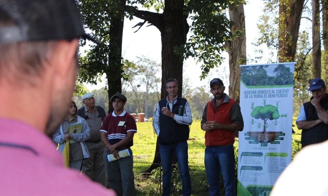 Imagen de Temas ambientales y productivos en la Jornada T&eacute;cnica de la Fiesta de la Yerba Mate