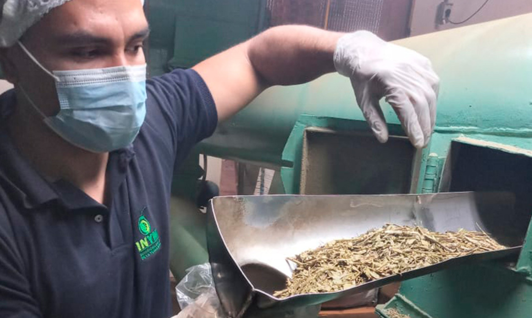 Imagen de El INYM continúa con los controles sobre precios mínimos de la materia prima Imagen de El INYM continúa con los controles sobre precios mínimos de la materia prima