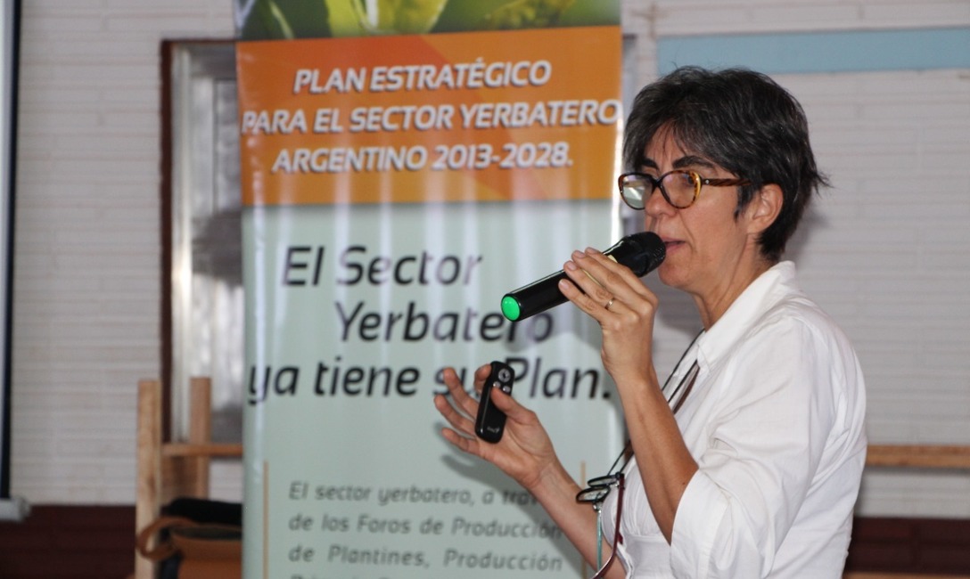 Imagen de Culminan hoy los talleres de revisi&oacute;n del Plan Estrat&eacute;gico