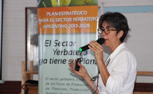 Imagen de Culminan hoy los talleres de revisión del Plan Estratégico