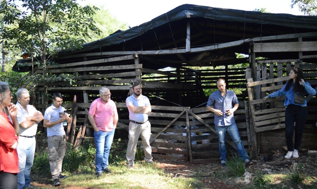 Imagen de Yerba con cuidado de la naturaleza, una pr&aacute;ctica que respalda el INYM